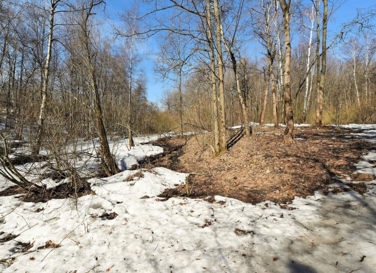 Левитан проталины