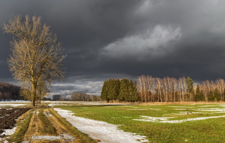 Первые проталины фото