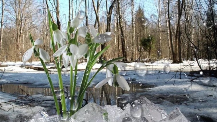 Лопасня (река)зима
