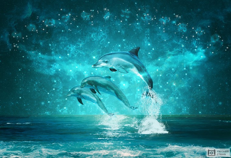 Дельфины под водой