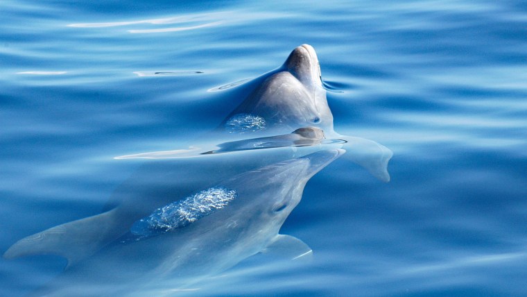 Красивое море