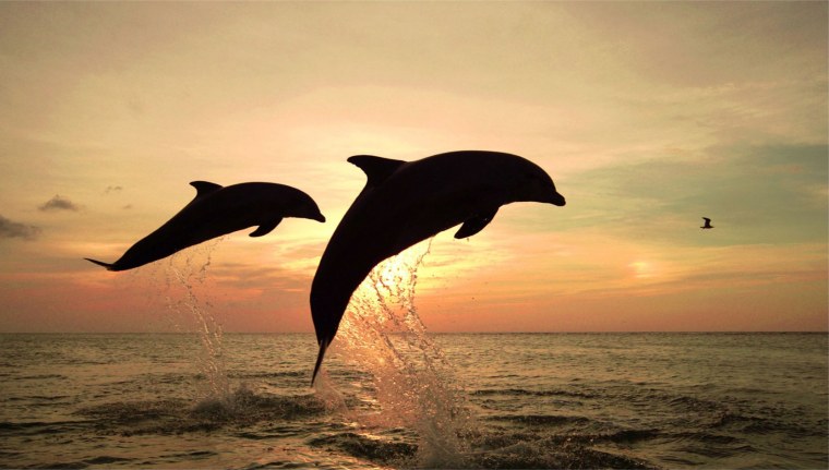 Кристиан Риес Лассен