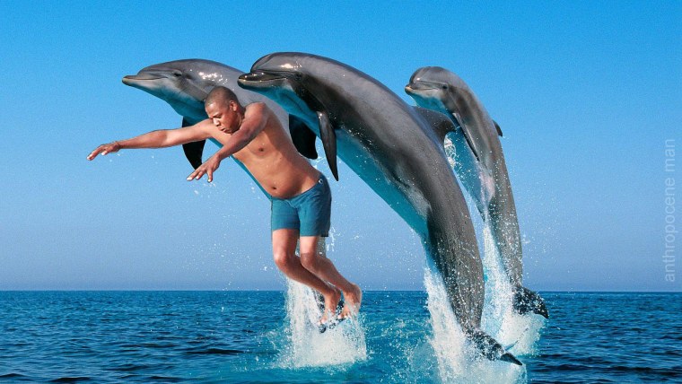 Дельфины в прыжке