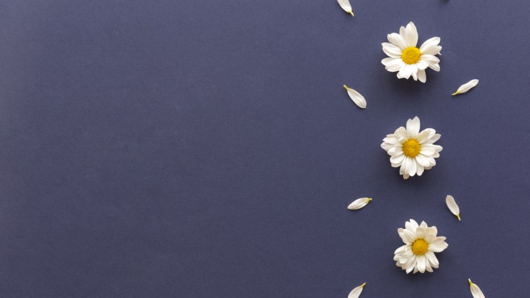 Белые ромашки