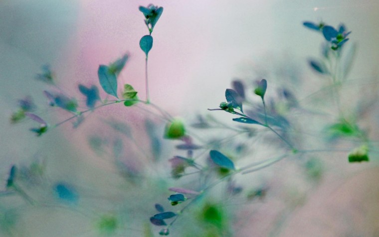 Эстетика голубого и зеленого