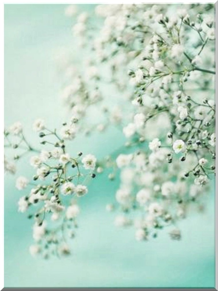 Природа в мятных тонах