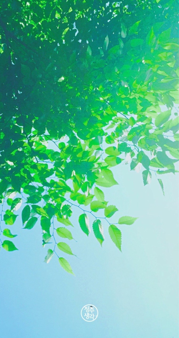 Красивый зеленый фон