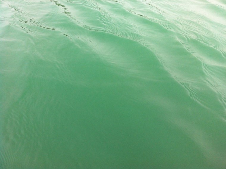 Зеленое море Эстетика