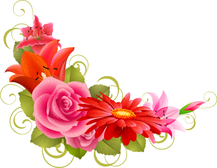 Цветы угловые