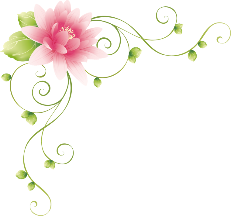 Уголок из цветов