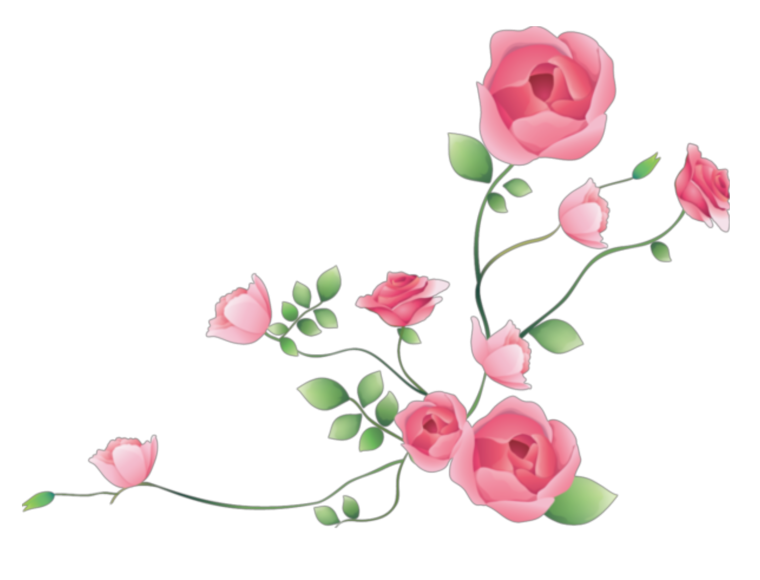 Цветы для презентации без фона