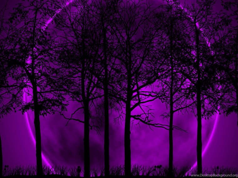 Мистический фиолетовый