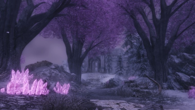 Фиолетовый лес