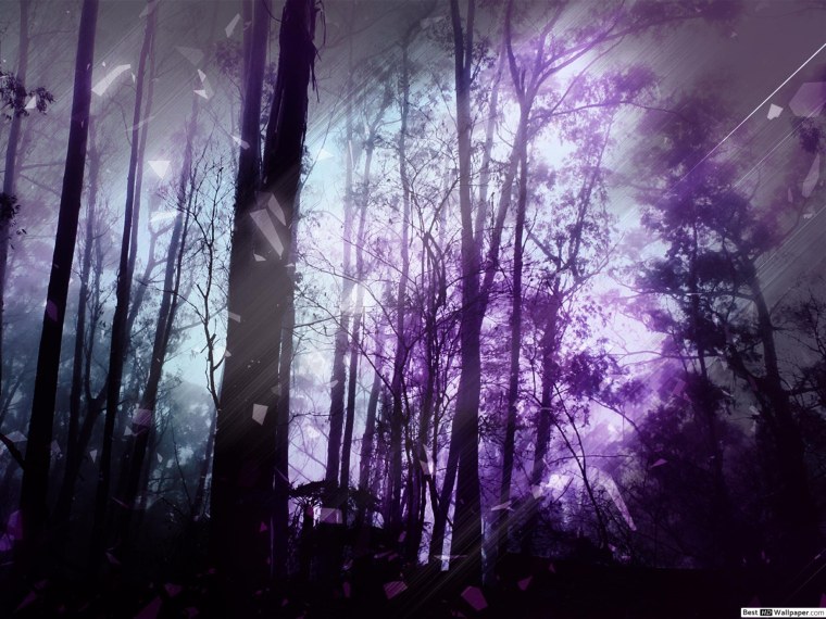 Дерево фиолетовый лес