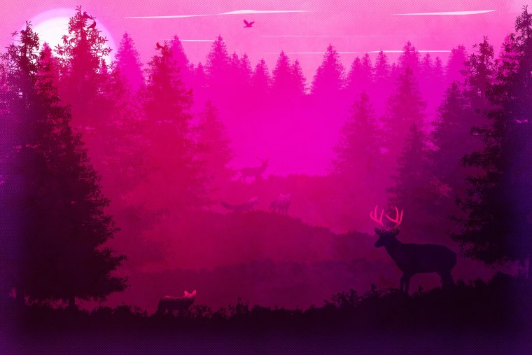 Природа фиолетовая Эстетика