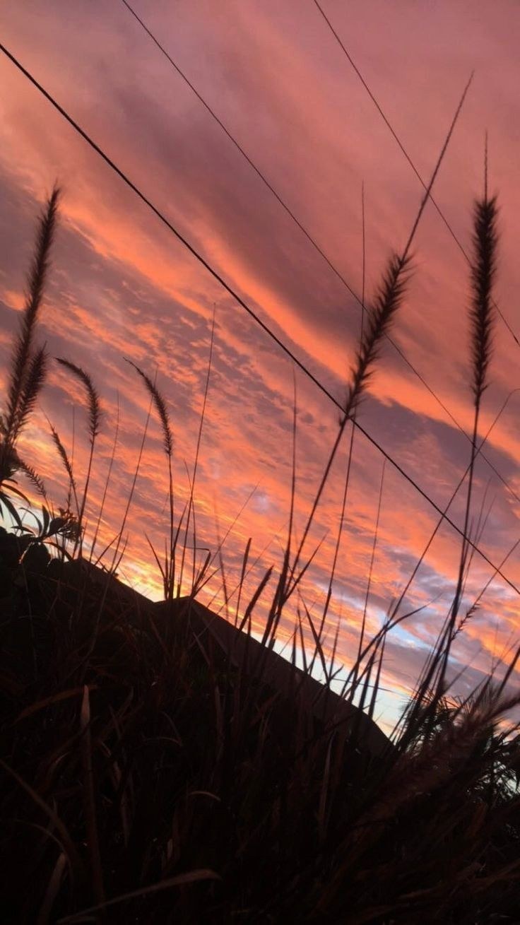 Эстетика для виджетов