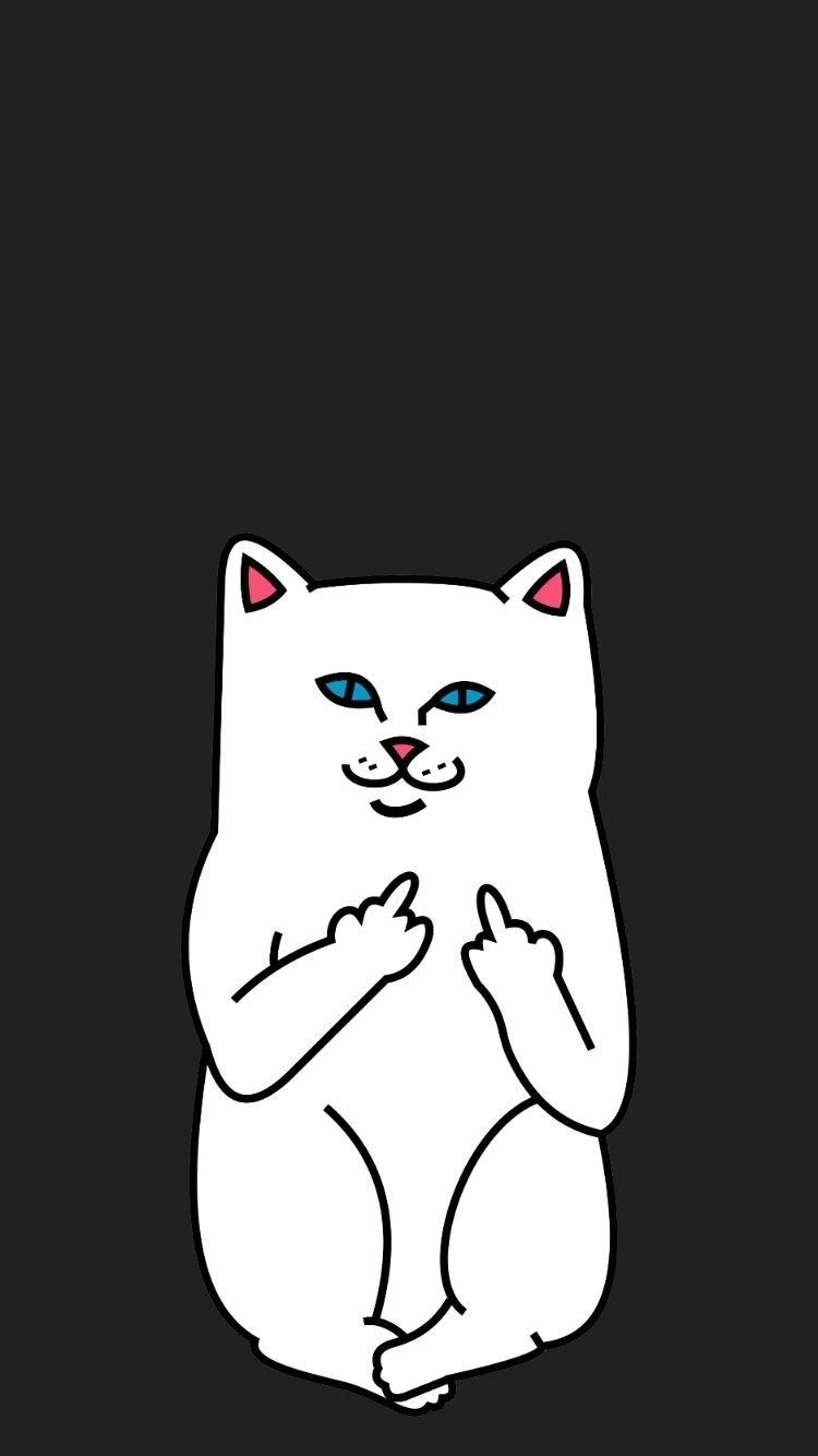 Кот показывает фак