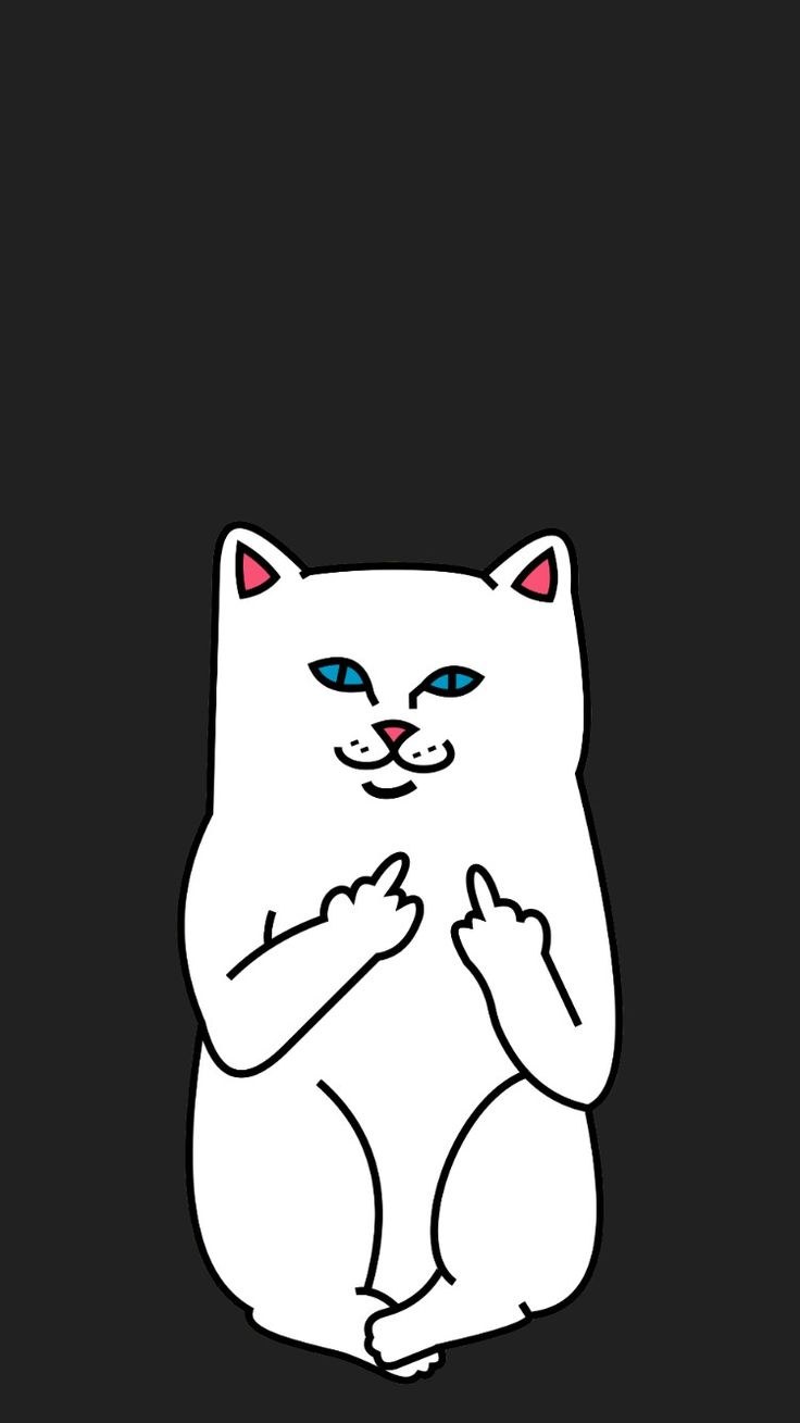 Котик рипндип