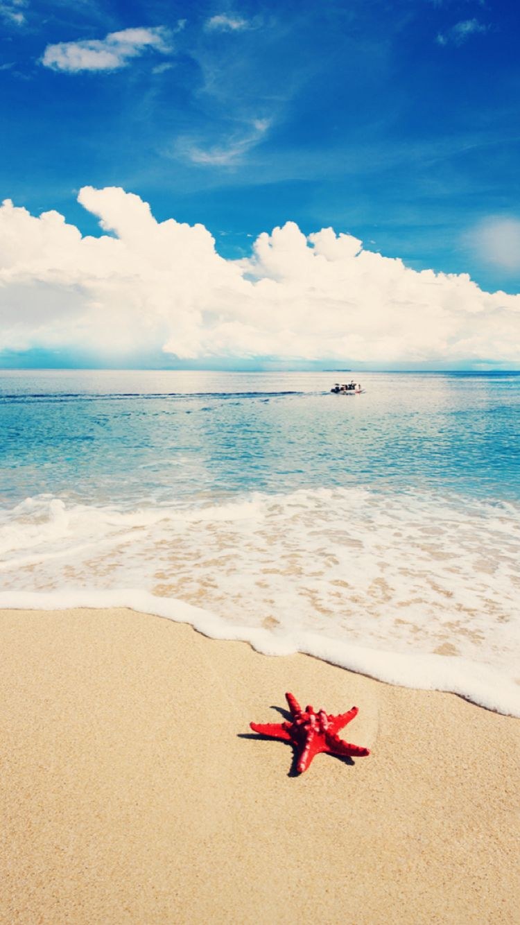 Фрукты на пляже