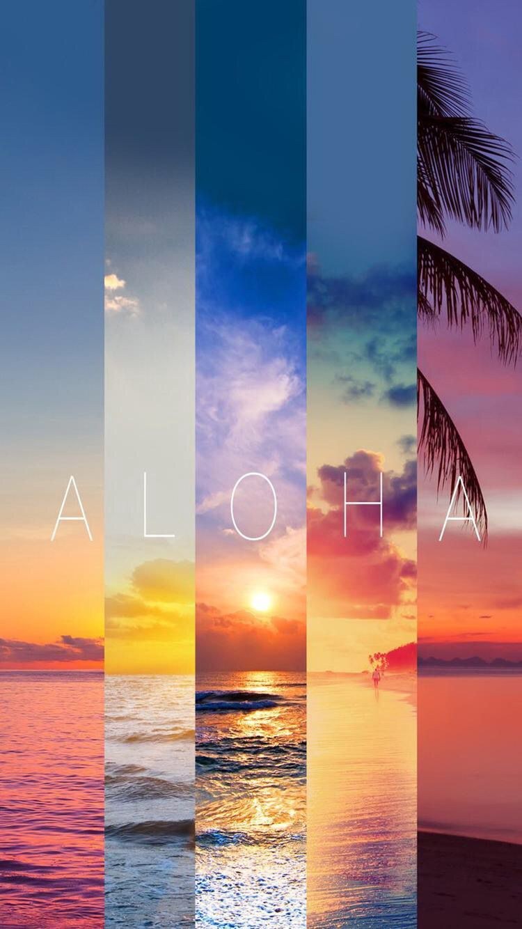 Серфинг вид сверху