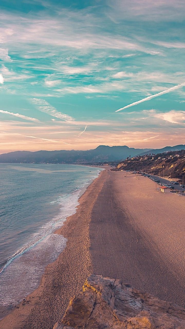 Ежевика красиво