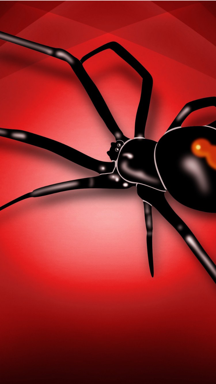 Паутина на рассвете