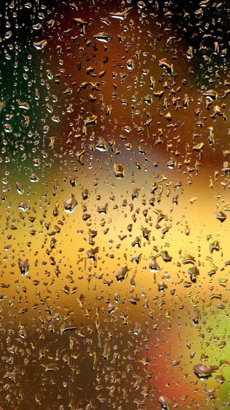 Популярные обои