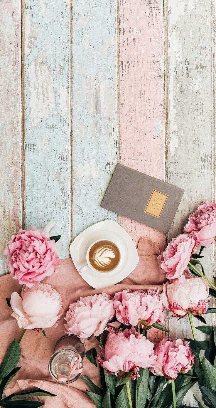 Пион нежно-розовый