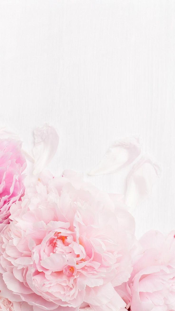 Нежные светлые цветы