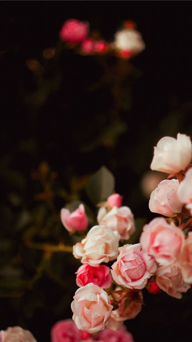 Цветы в пастельных тонах