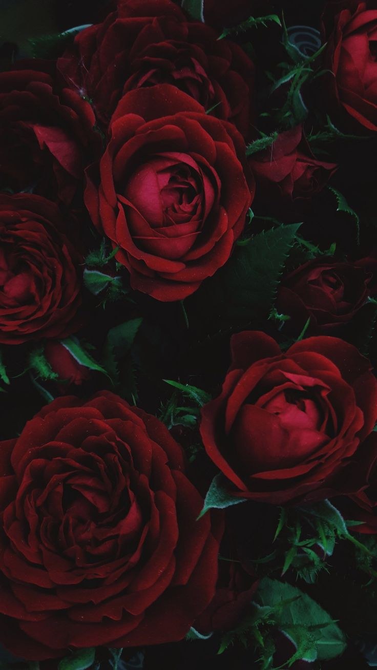 Обои на телефон эстетика черного цвета