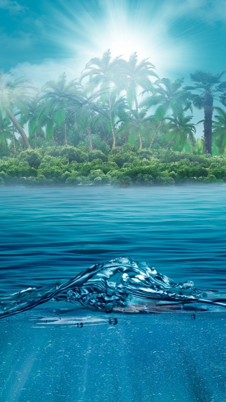 Морское дно