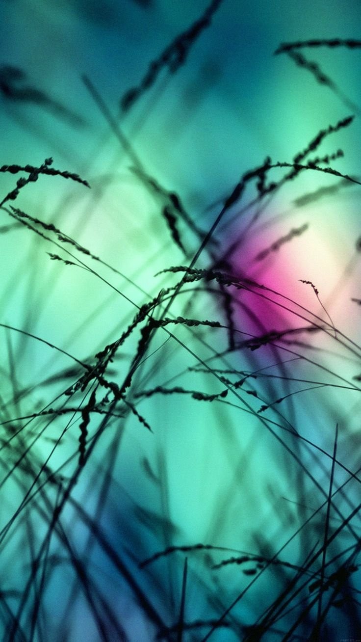 Фоны красивые и редкие