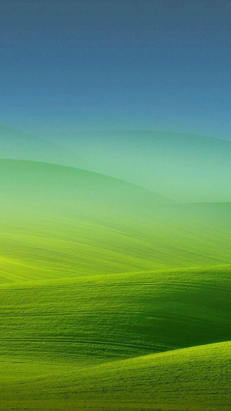 Зеленое поле