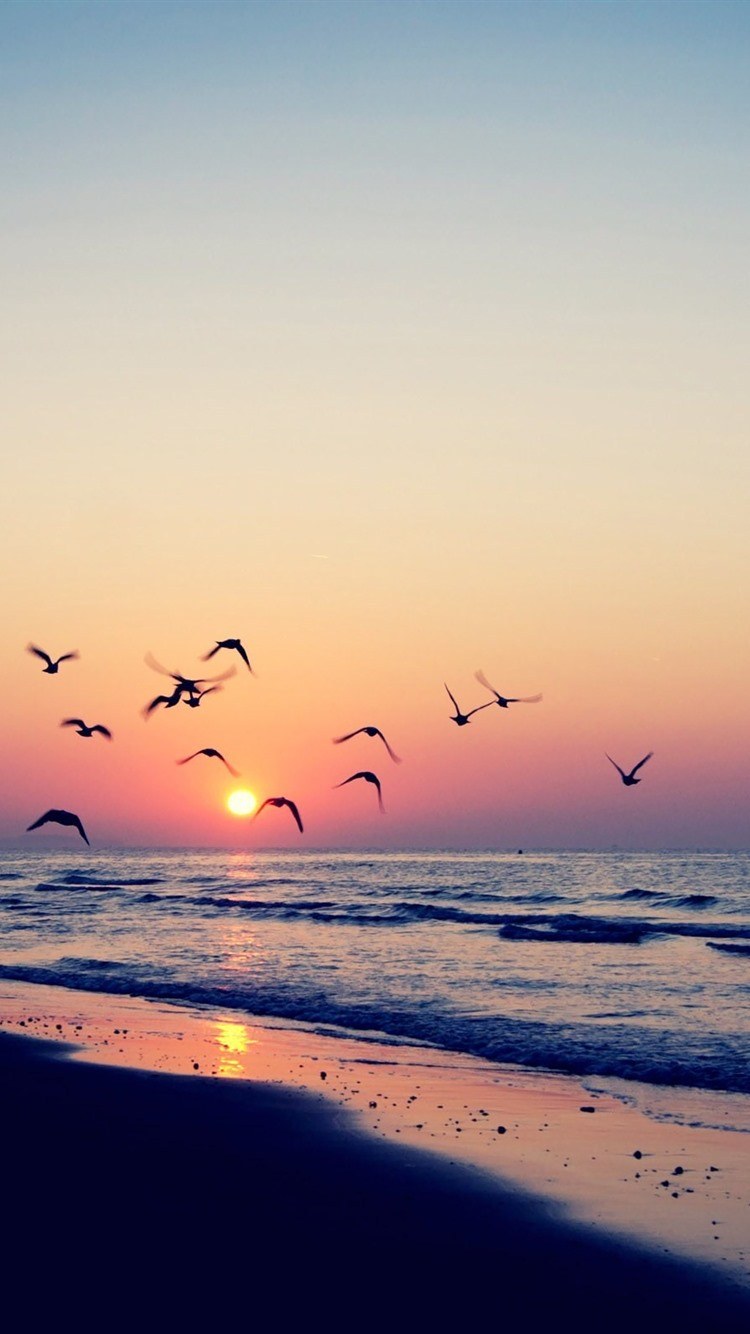 Обои на телефон закат