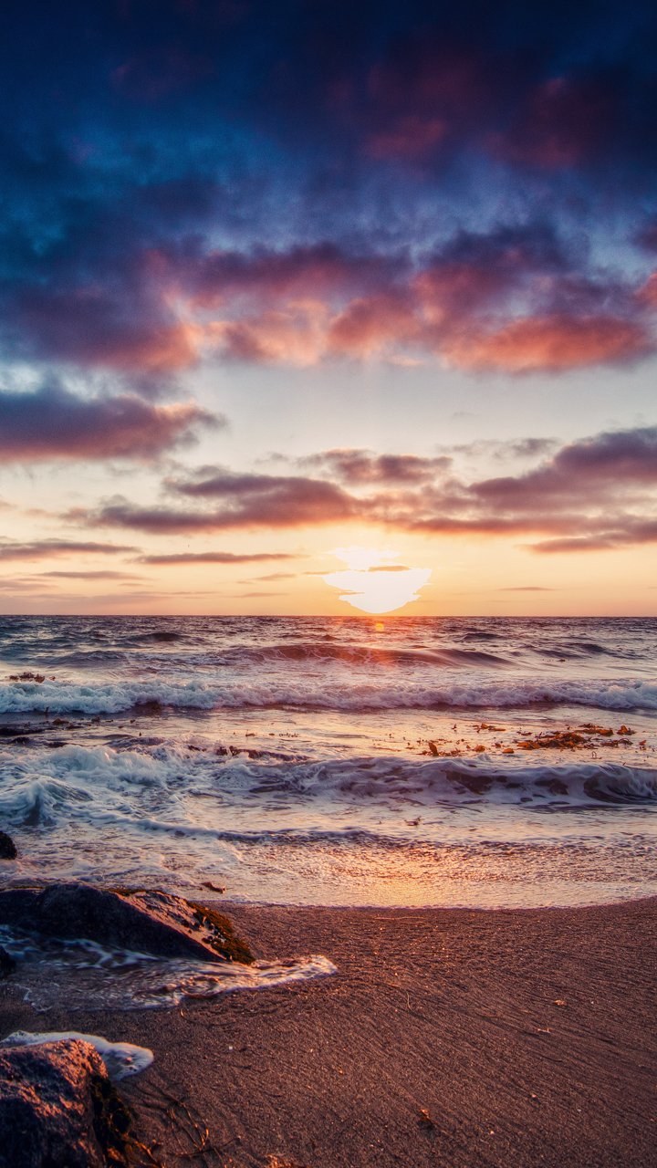 Пляж пальмы закат