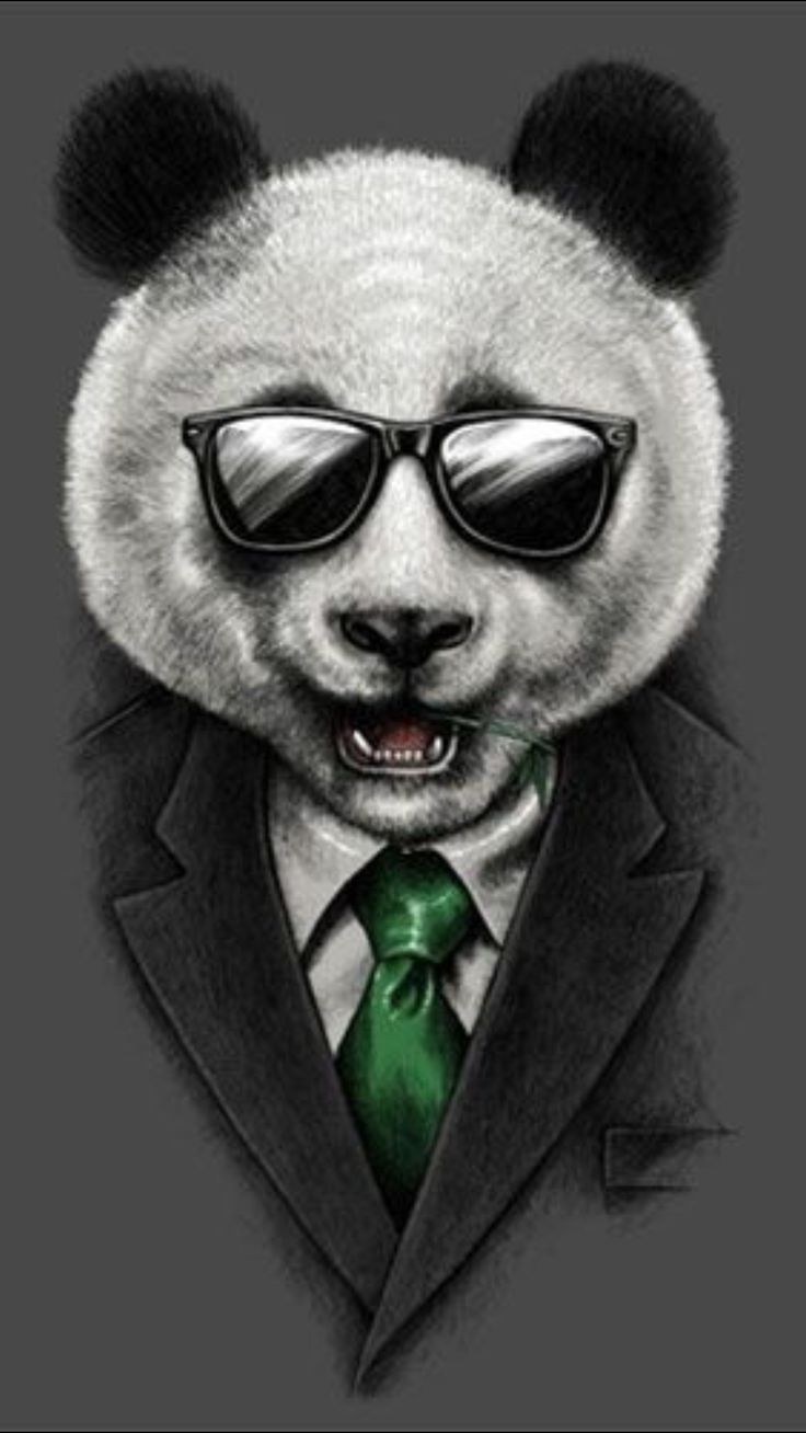 Картинки на аву в ватсап животные