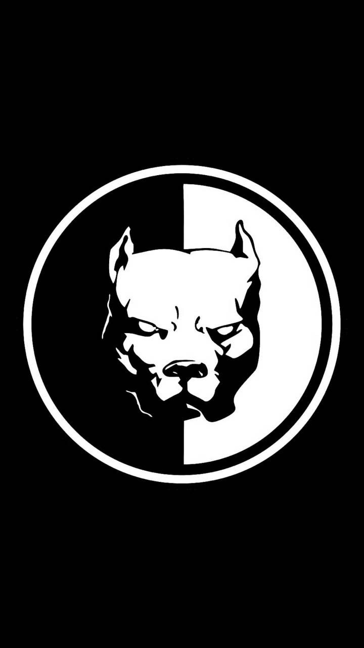 Эрик Давидыч питбуль