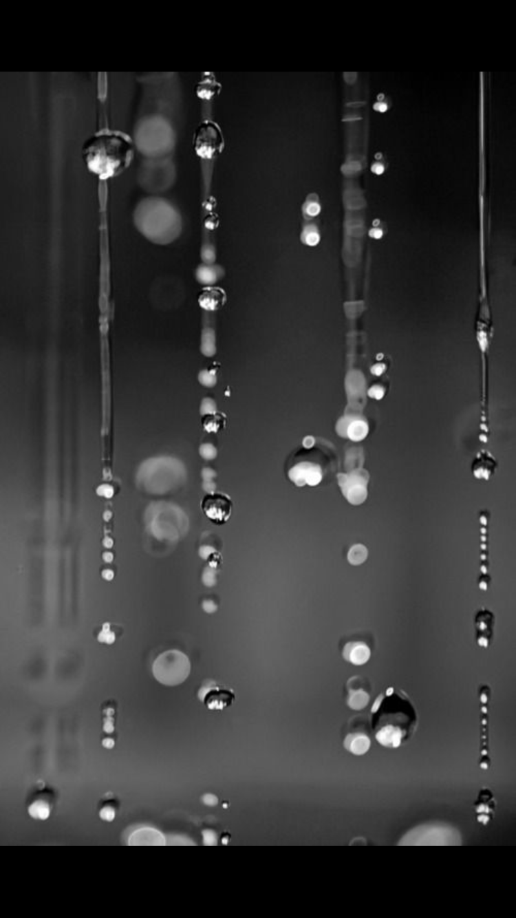 Черная вода