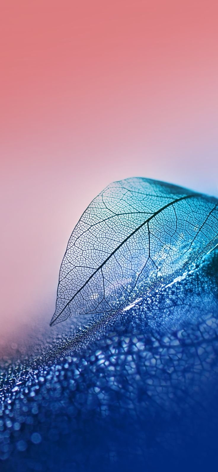 Стильные обои для Хуавей