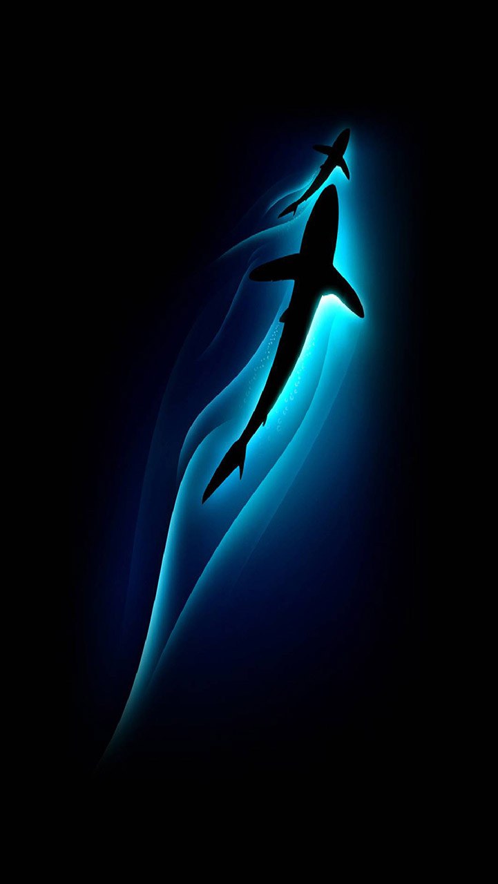 Samsung заставка