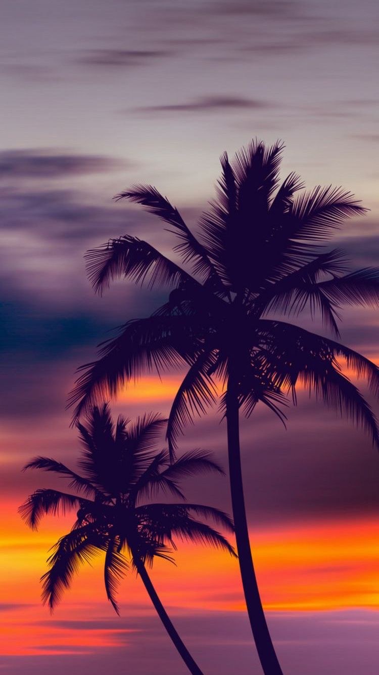 Пальмы на закате
