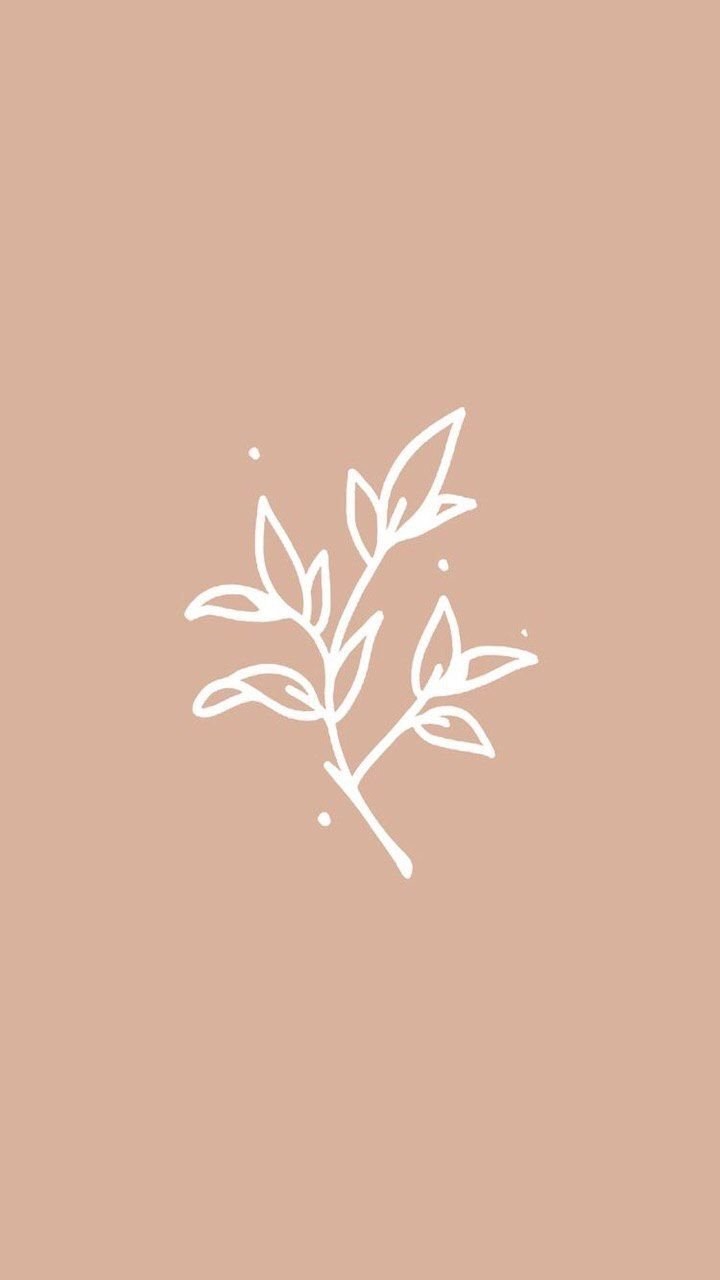 Бежевые обои на айфон