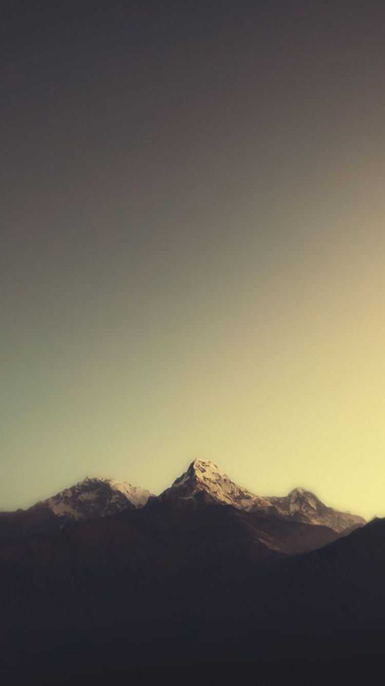 Ночь звезды