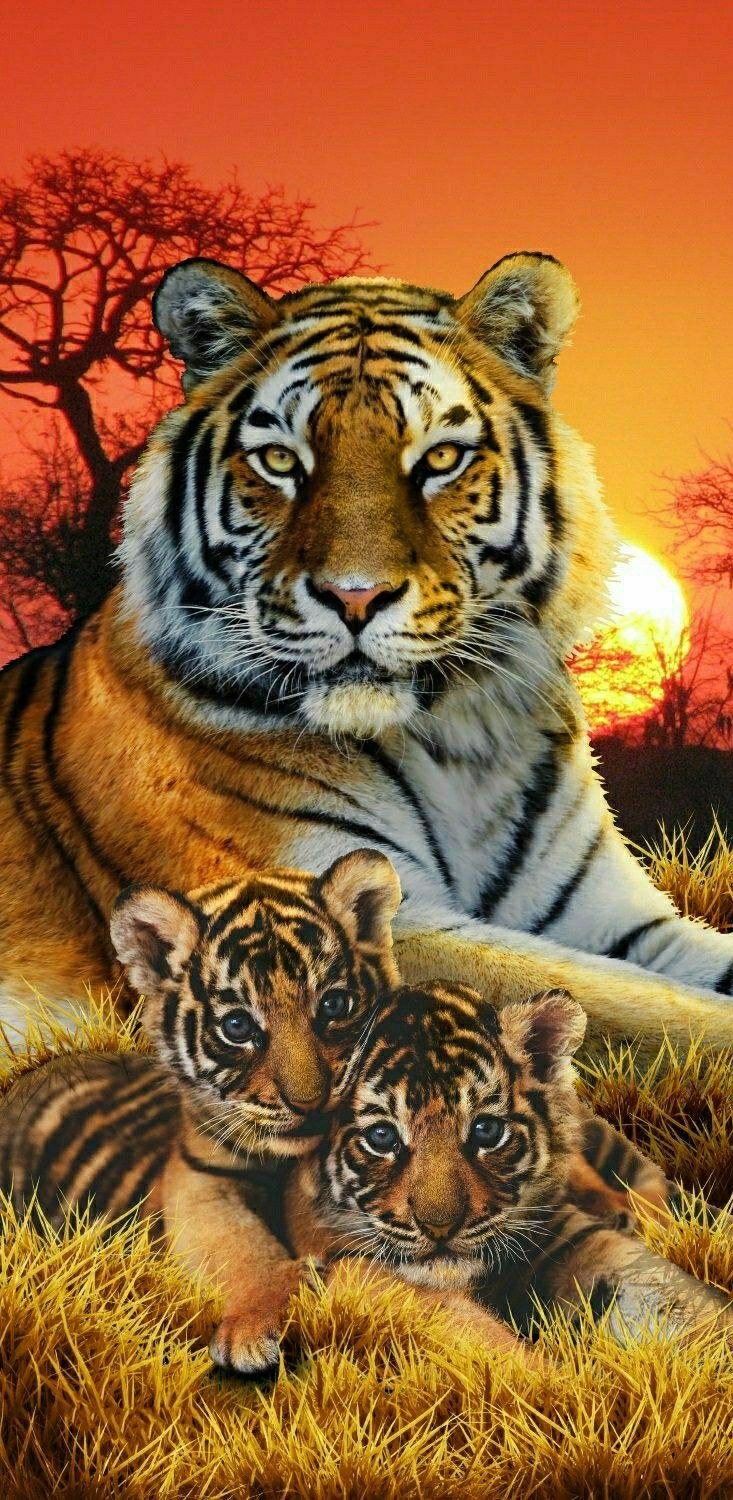 Неоновый леопард