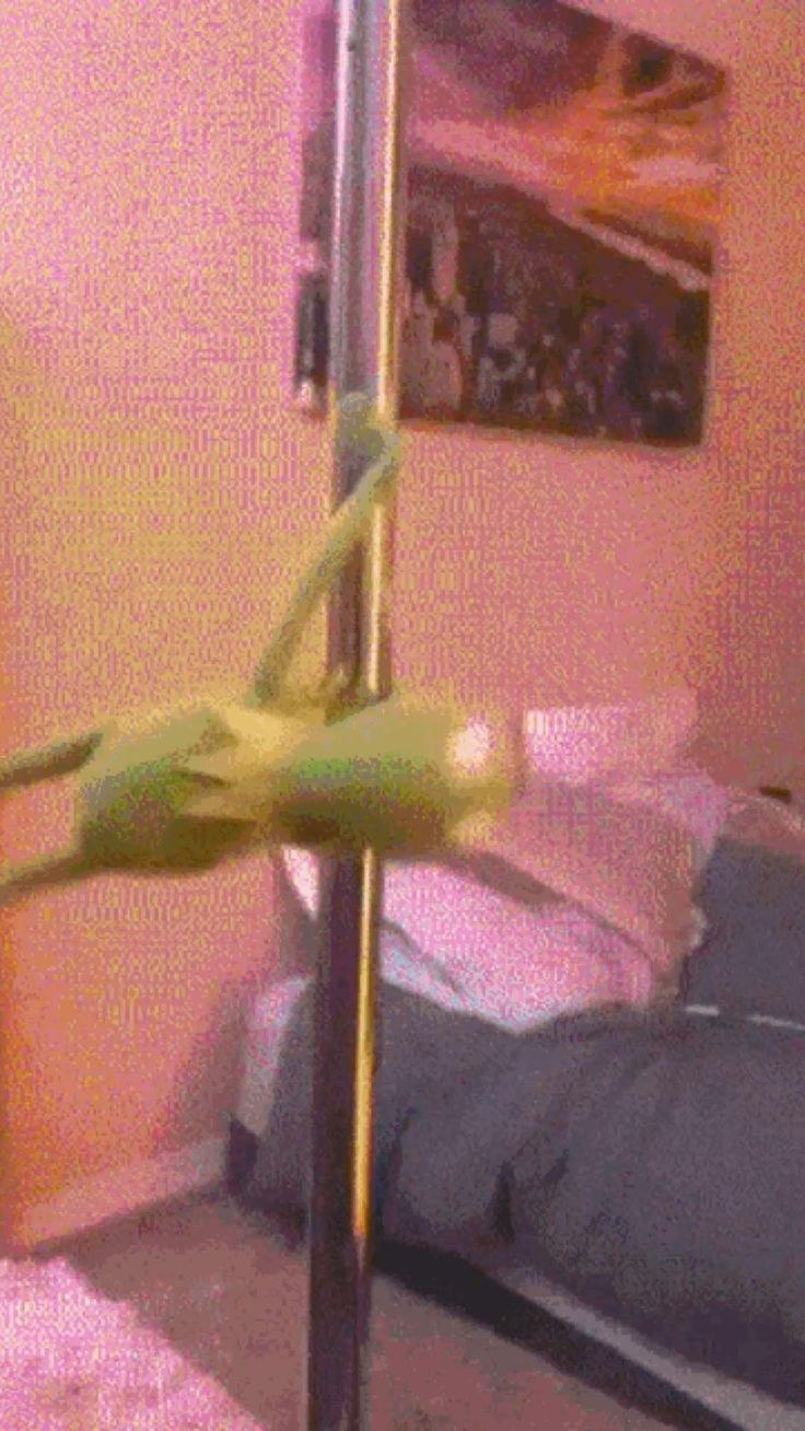 Лягушонок Кермит пьяный