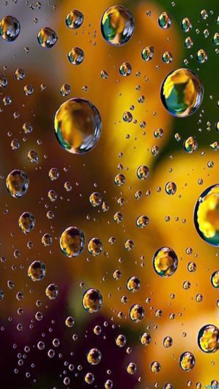 Фотообои для телефона вертикальные