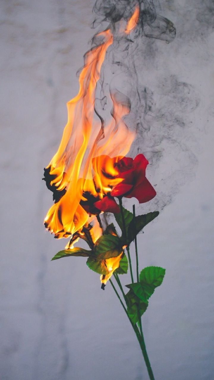 Огненная Эстетика