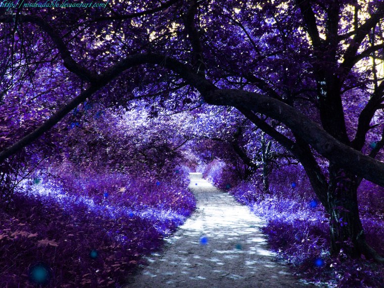 Пурпурный туман