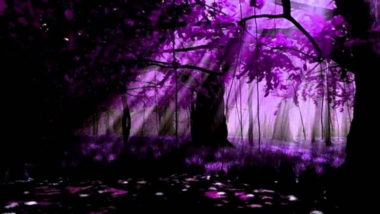 Фиолетовый лес Эстетика